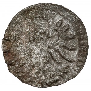 Zygmunt II August, Denar Gdańsk 1554