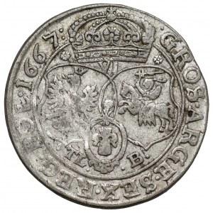 Jan II Kazimierz, Szóstak Bydgoszcz 1667 TLB - kwiatek
