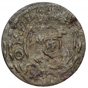 Zygmunt III Waza, Trzeciak Łobżenica 1630