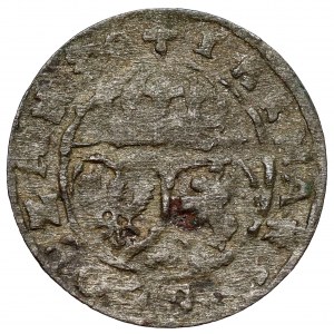 Zygmunt III Waza, Trzeciak Łobżenica 1630
