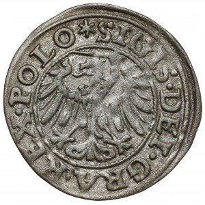 Zygmunt I Stary, Szeląg Gdańsk 1546
