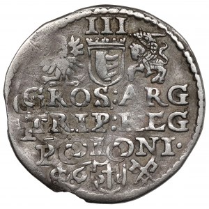 Stefan Batory, Trojak Poznań 1586 - ukoronowana tarcza