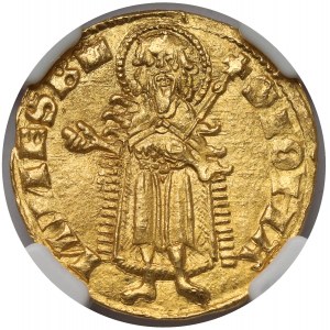 Ludwik Andegaweński (1342-1382), Floren (goldgulden), Buda