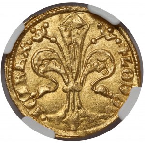 Ludwik Andegaweński (1342-1382), Floren (goldgulden), Buda