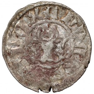 Hospodarstwo Mołdawskie, Aleksander I (1400-1432) Dwugrosz - ex. Jadwiga Zakrzewska-Kleczkowska