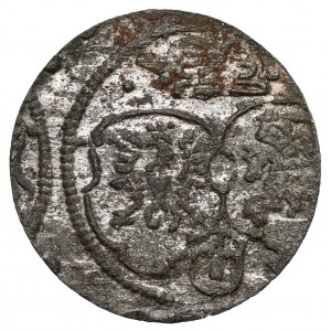 Zygmunt III Waza, Trzeciak Poznań 1621