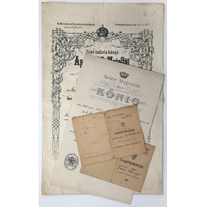 Legitymacje Krzyża Walecznych (po raz pierwszy i jedno okucie) i Dyplomy do odznaczeń Niemcy i Austro-Węgry - zestaw (4szt)