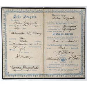 Poznań, Świadectwo nauczania i egzaminowania 1910/1913