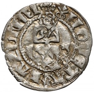 Kazimierz III Wielki, Półgrosz (kwartnik) Kraków - typ VI - bez ozdobników