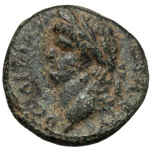 Domicjan (81-96 n.e.) AE21, Antiochia