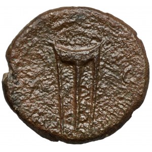 Julia Titi (79-90/1 n.e.) Ludia, Taityra, AE17 - rzadki