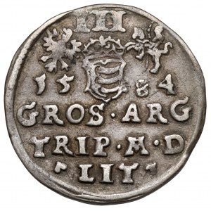 Stefan Batory, Trojak Wilno 1584 - zbroja łuskowa