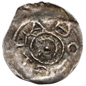 Bolesław IV Kędzierzawy, Denar - Głowa / Ptak - RZADKI