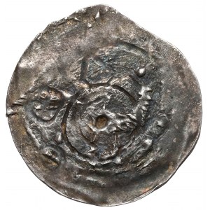 Bolesław IV Kędzierzawy, Denar - Głowa / Ptak - RZADKI