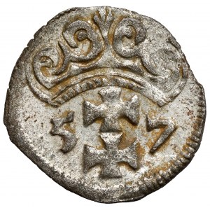Zygmunt II August, Denar Gdańsk 1557 - ozdobna - rzadki