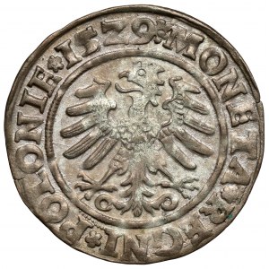 Zygmunt I Stary, Grosz Kraków 1529