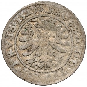 Zygmunt I Stary, Grosz Toruń 1529 - przebitka w dacie