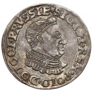 Zygmunt I Stary, Trojak Toruń 1534