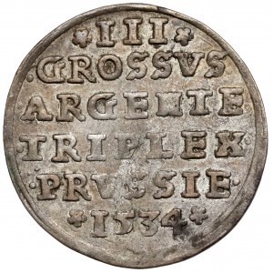 Zygmunt I Stary, Trojak Toruń 1534