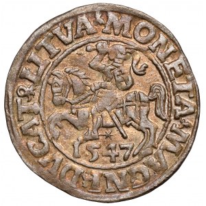 Zygmunt II August, Półgrosz Wilno 1547