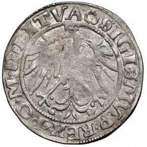 Zygmunt I Stary, Grosz Wilno 1536 - litera M
