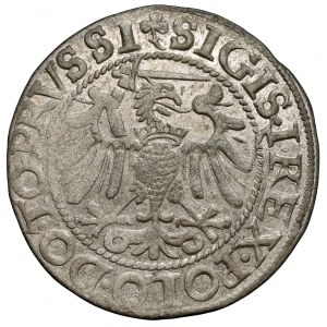 Zygmunt I Stary, Grosz Elbląg 1540