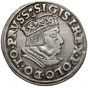 Zygmunt I Stary, Trojak Gdańsk 1537 - wczesny