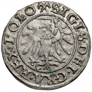 Zygmunt I Stary, Szeląg Gdańsk 1539 - piękny