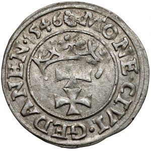 Zygmunt I Stary, Szeląg Gdańsk 1546