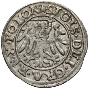 Zygmunt I Stary, Szeląg Gdańsk 1546