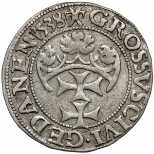 Zygmunt I Stary, Grosz Gdańsk 1538
