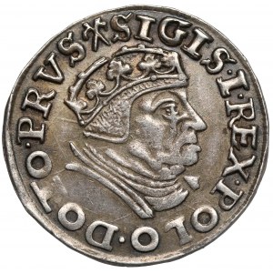 Zygmunt I Stary, Trojak Gdańsk 1539 - odmienny portret