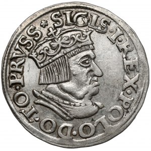Zygmunt I Stary, Trojak Gdańsk 1536