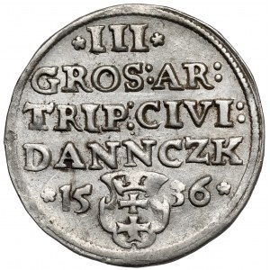 Zygmunt I Stary, Trojak Gdańsk 1536