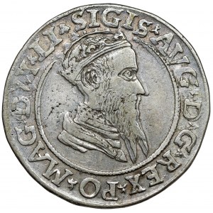 Zygmunt II August, Czworak Wilno 1569