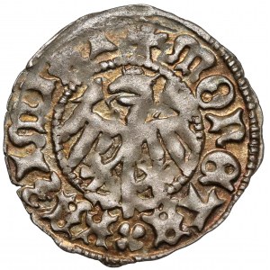 Kazimierz IV Jagiellończyk, Półgrosz Kraków - piękny