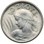 Kobieta i kłosy 2 złote 1924 Filadelfia - ODWROTKA