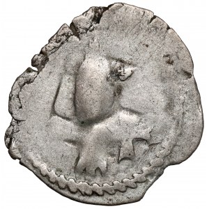 Litwa, Witold, Denar litewski, Wilno (1413-1430) - Kolumny Giedymina - prawo