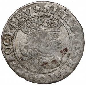 Zygmunt I Stary, Grosz Toruń 1531 - PRV - b.rzadki