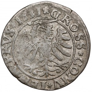 Zygmunt I Stary, Grosz Toruń 1531 - PRV - b.rzadki