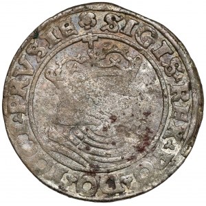 Zygmunt I Stary, Grosz Toruń 1530