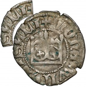 Władysław II Jagiełło, Półgrosz Kraków - typ 12 - błąd WladiSALI