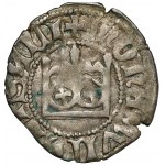 Władysław II Jagiełło, Półgrosz Kraków - typ 12 - błąd WladiSALI