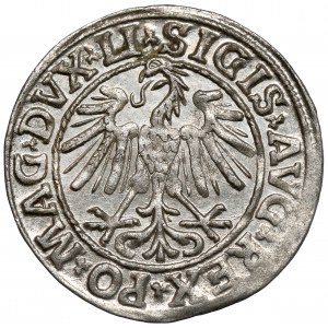 Zygmunt II August, Półgrosz Wilno 1547