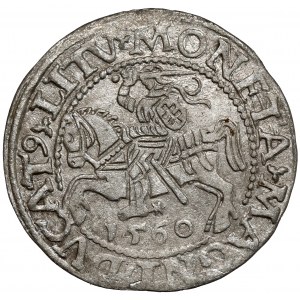 Zygmunt II August, Półgrosz Wilno 1560