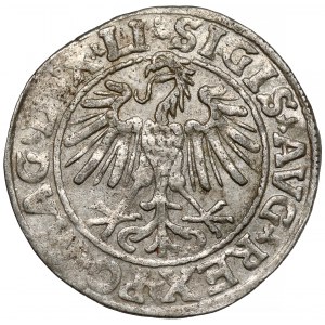 Zygmunt II August, Półgrosz Wilno 1547