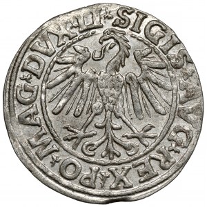 Zygmunt II August, Półgrosz Wilno 1547