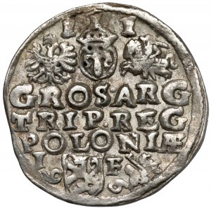 Zygmunt III Waza, Trojak Lublin 1596