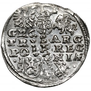 Zygmunt III Waza, Trojak Lublin 1595 - popiersie typ 4