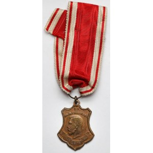 Rosja, Mikołaj II, Medal 1914 „Na pamiątkę Wielkiej Wojny